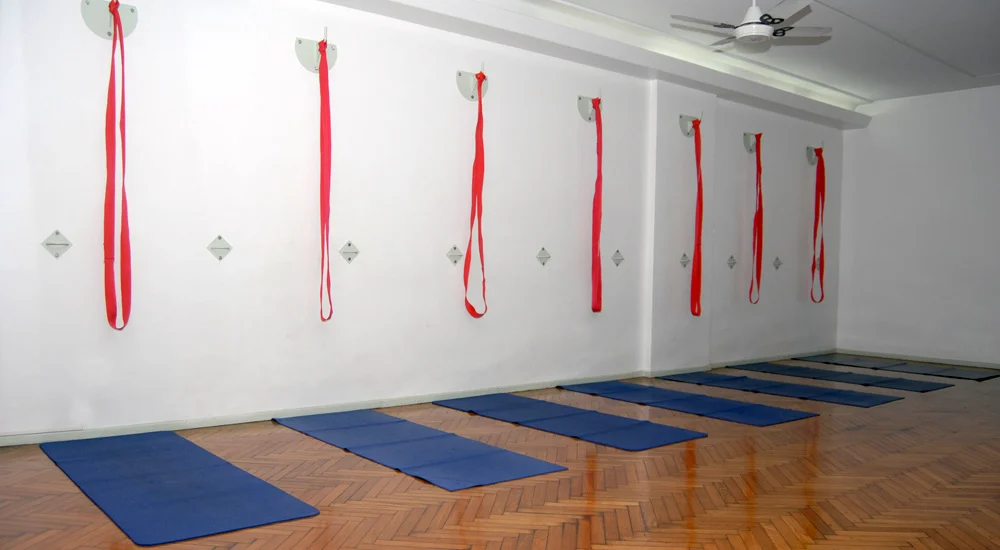 Yoga Iyengar Monica Moya 