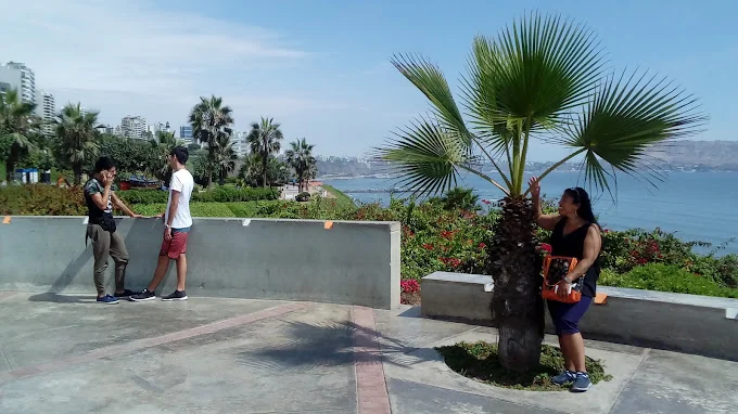  Lima