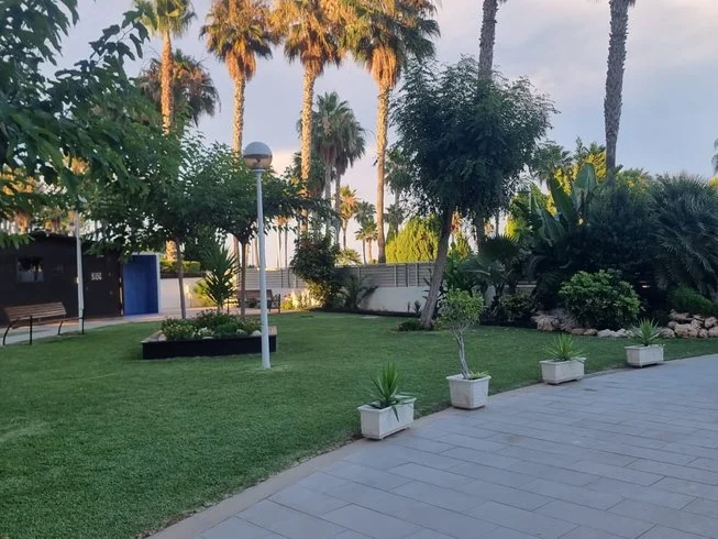  Alicante