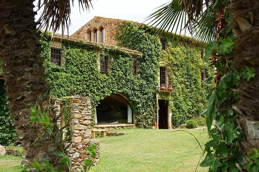 Avalon Holistic Ayahuasca Retreats 