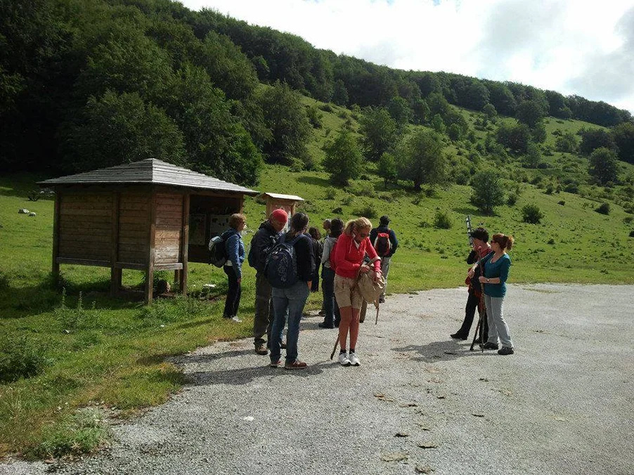 Centro Ananda - Psicoterapia e Mindfulness Italy