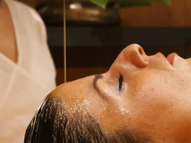Dhara Wellness Garden