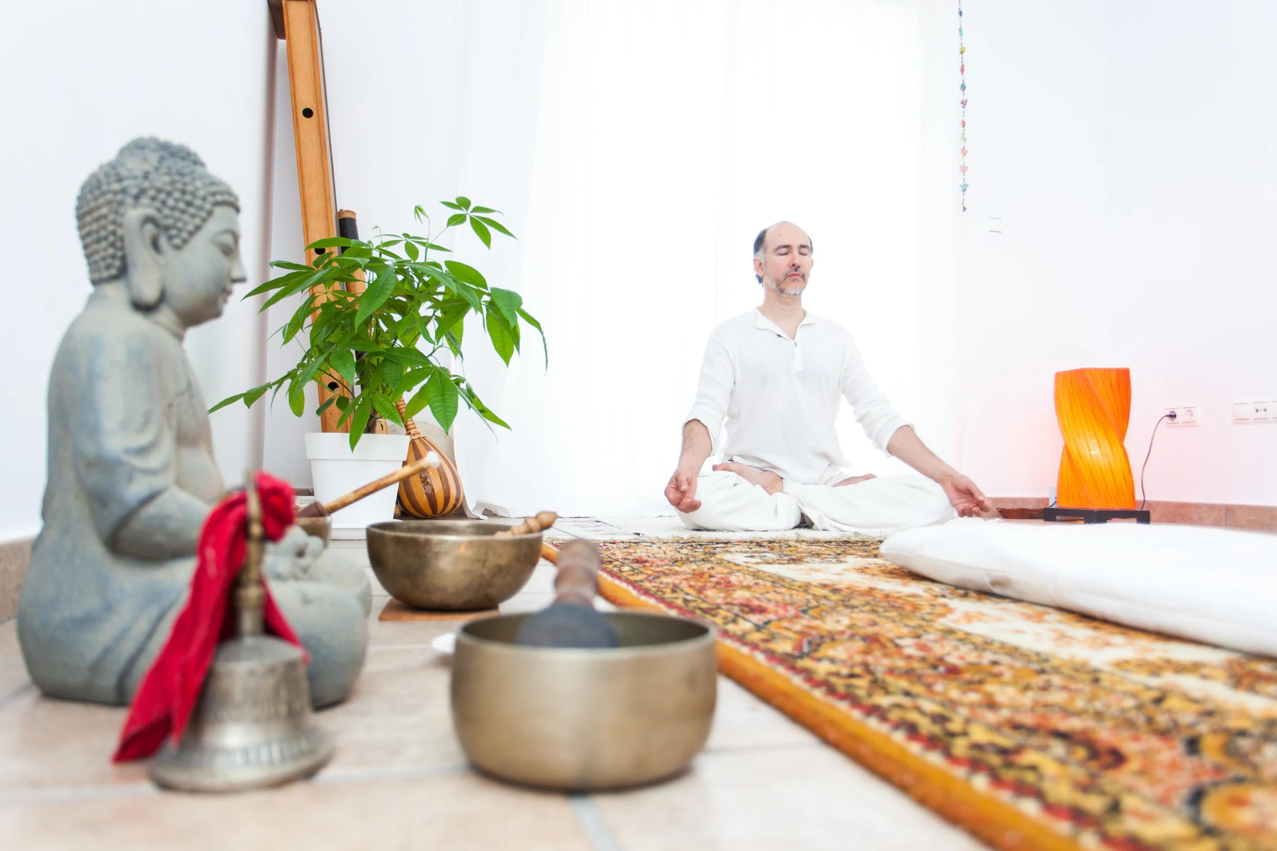 Dhara Wellness Garden