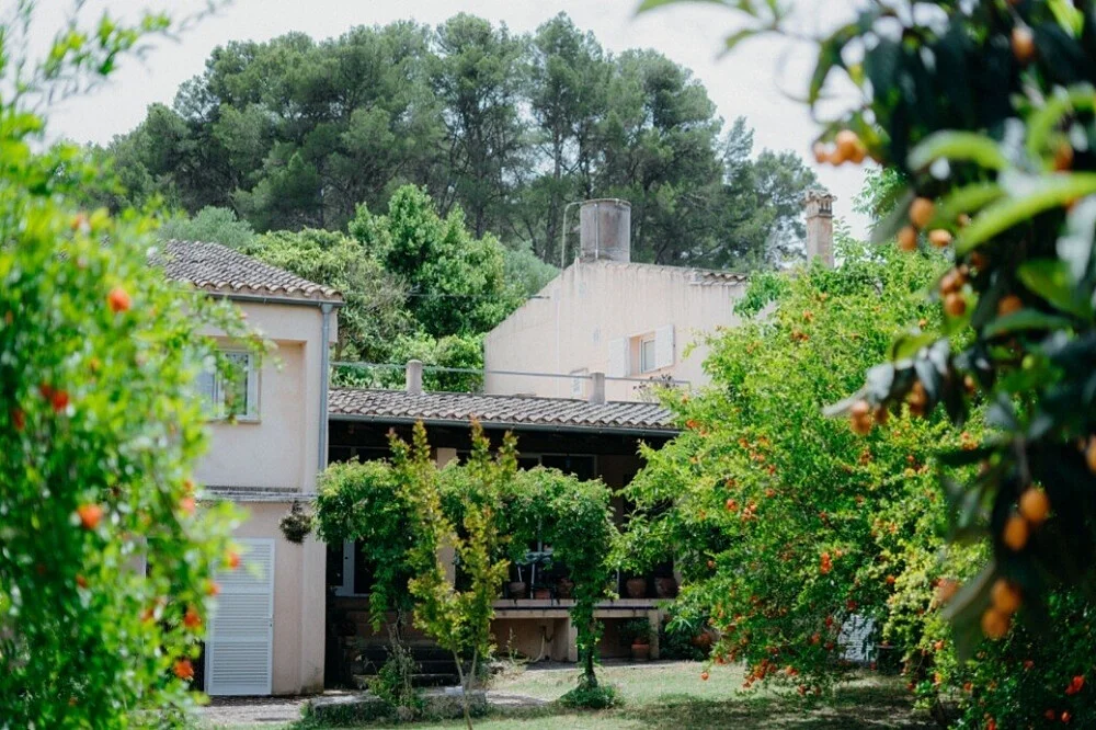 Dhyanasana Spain