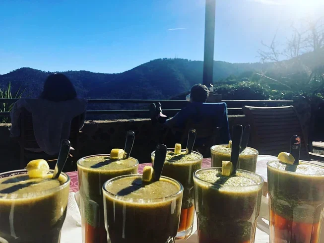 Eco Detox 