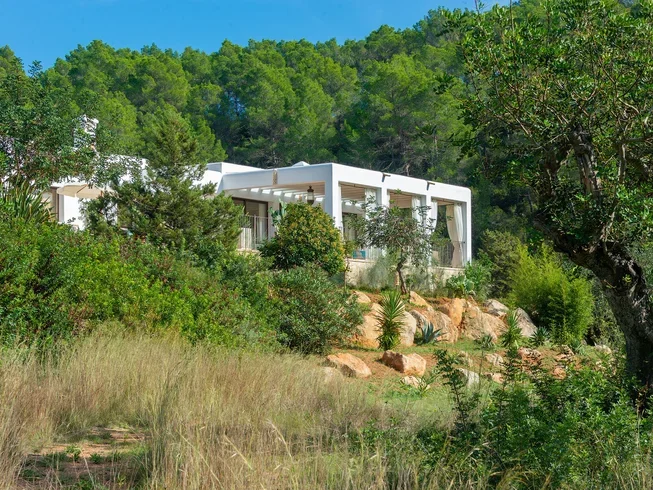  Ibiza
