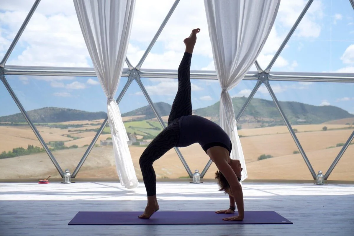 Frog Lotus Yoga International 