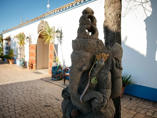 Frog Lotus Yoga International 