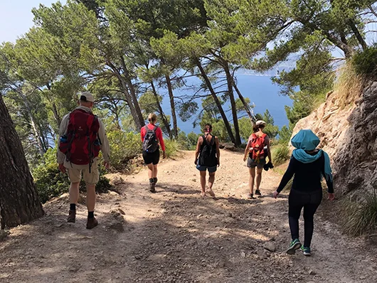  Ibiza