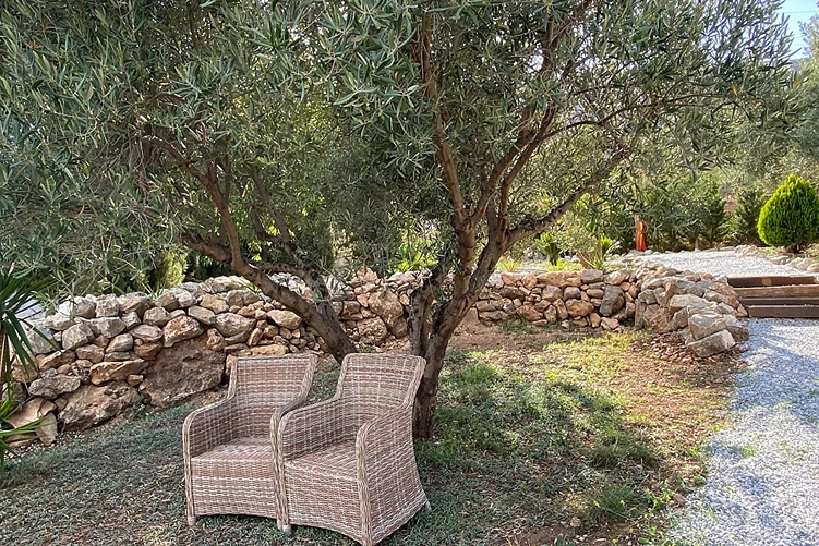 Harmony Home 