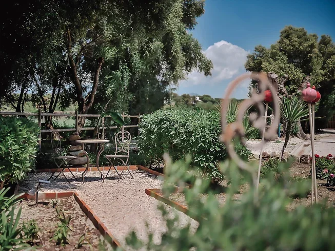 Holistic Hotel Rancho Los Lobos 