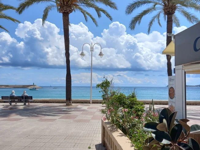  Javea