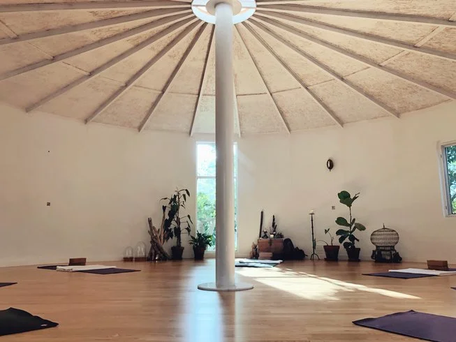 Jen Yoga Tree 