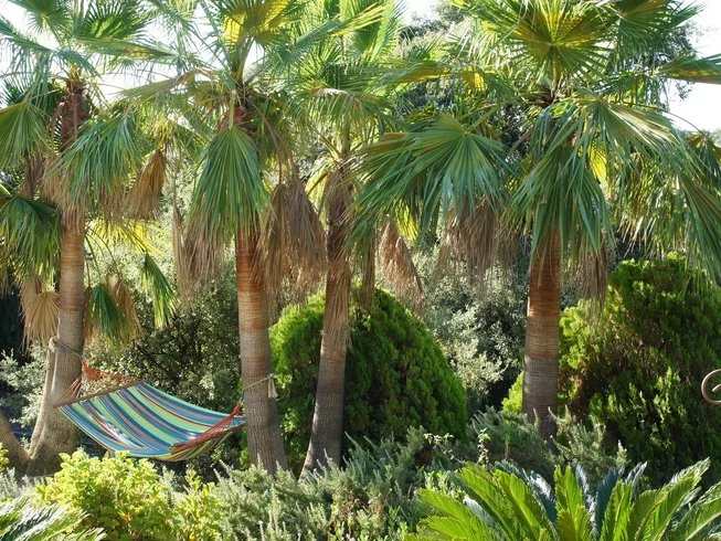  Malaga