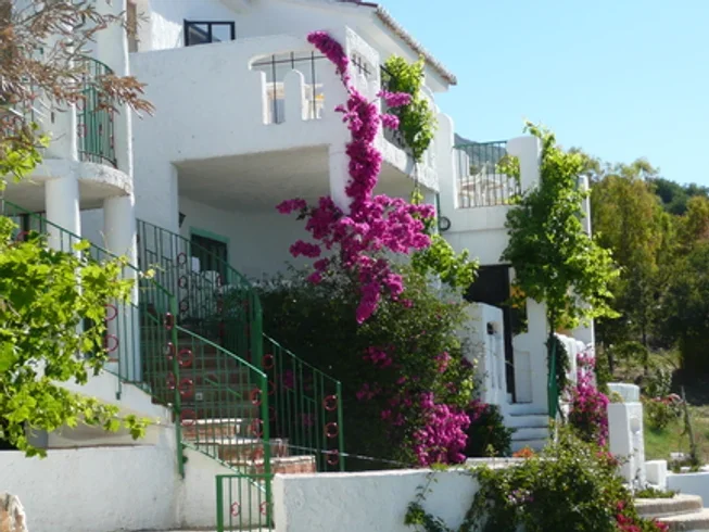  Malaga