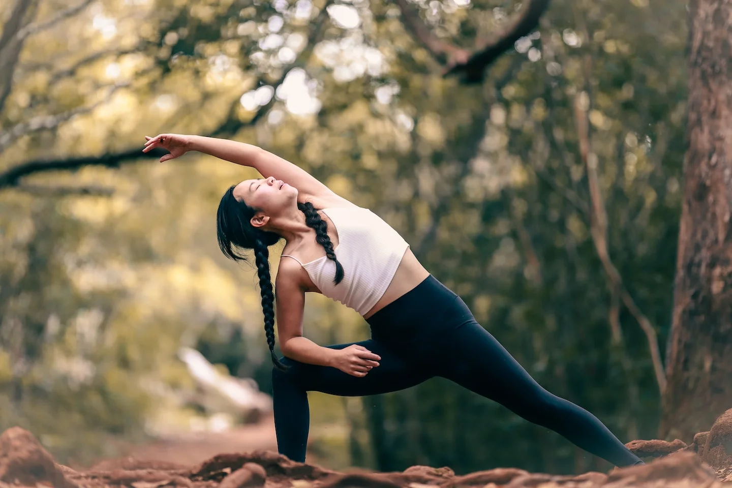 MindBodyHolistic 