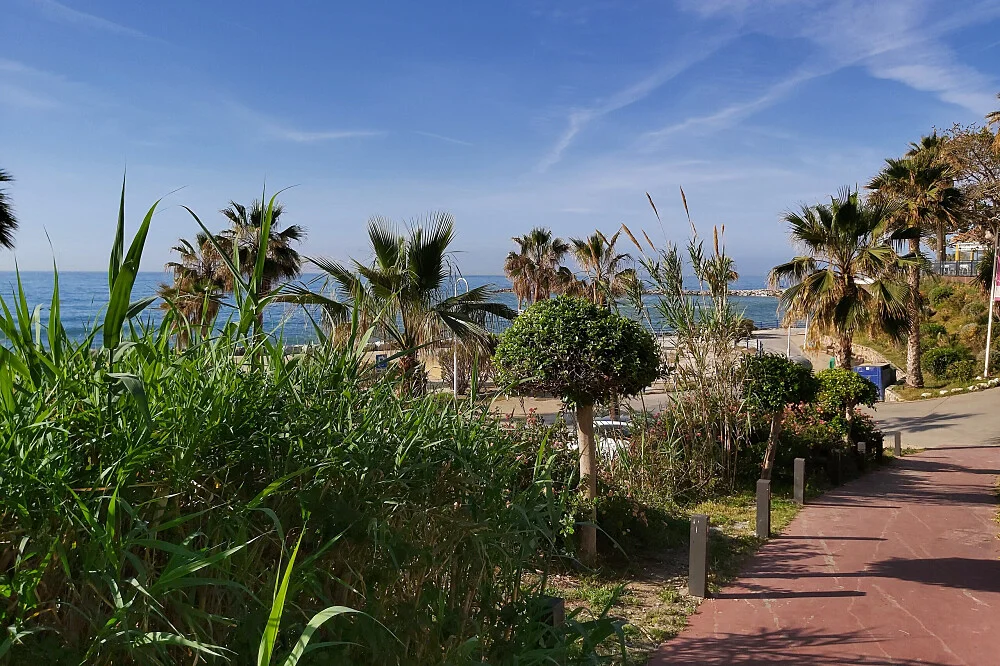 Mindful and Yoga Malaga