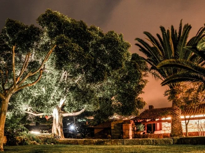 Reconnect Yourself Retreats & Coachings 