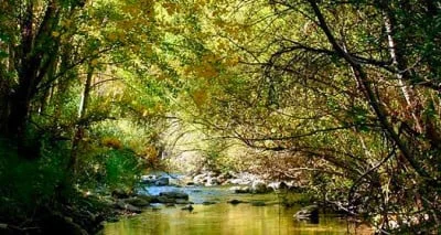 Secret Garden Retreats 