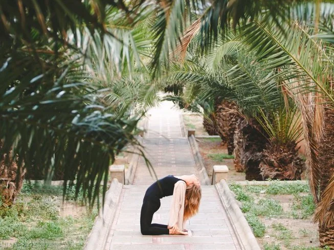 See Yoga Holidays 
