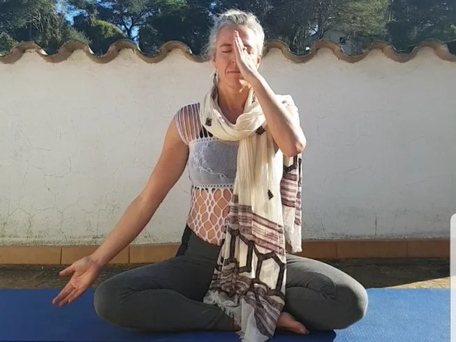 Sharanam Yoga and Therapy Retreats 