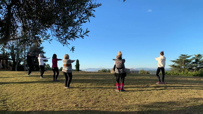 So'Ham - Yoga Terapéutico y Ayurveda Spain