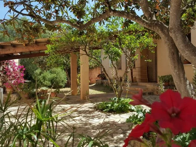 Soler Yoga Wellness 