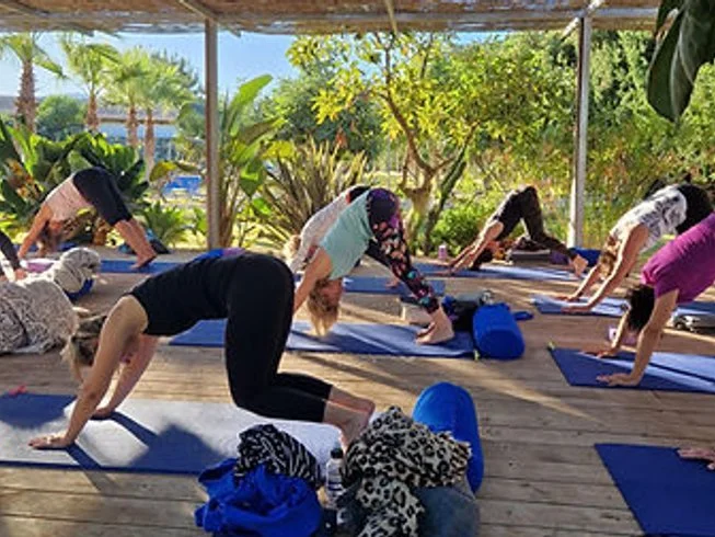 Susi Davies Dynamic Yoga