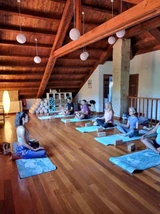Terranam Wellness 
