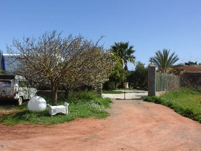 The Lotus Pad Ibiza 
