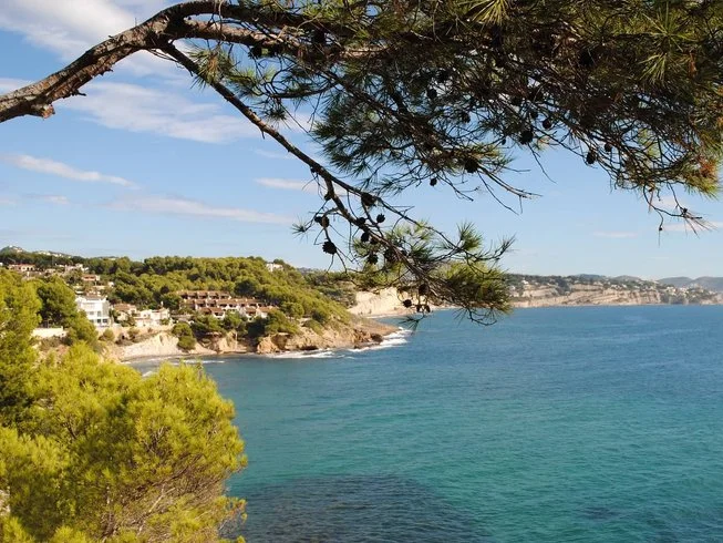  Spain