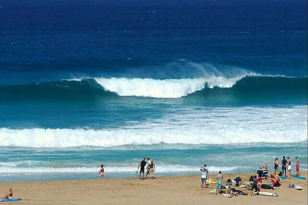  Fuerteventura