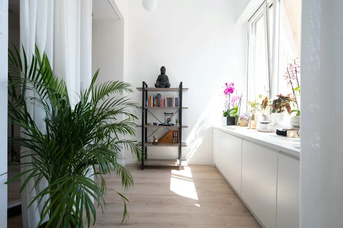 Vimana Yoga Studio 