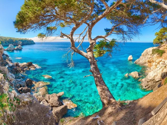  Mallorca