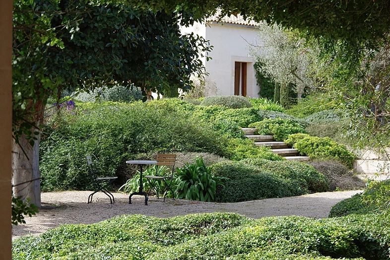 Yoga MariSol Finca Son Sion 