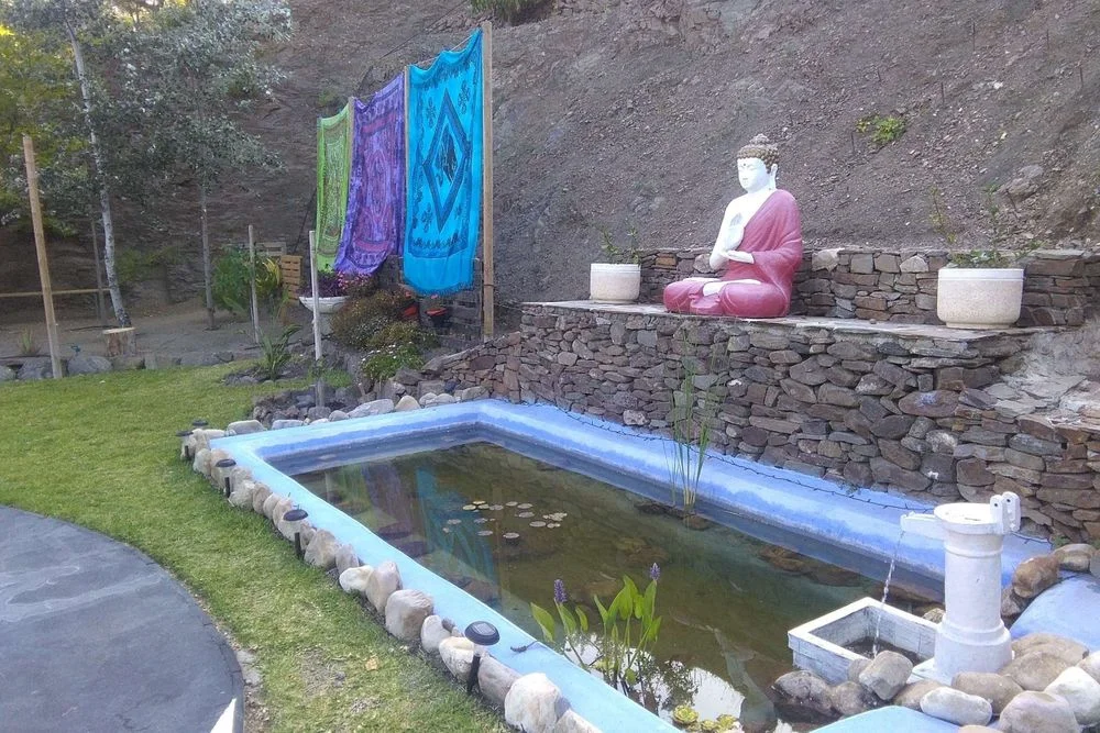Yoga Retreats Eco Oasis 