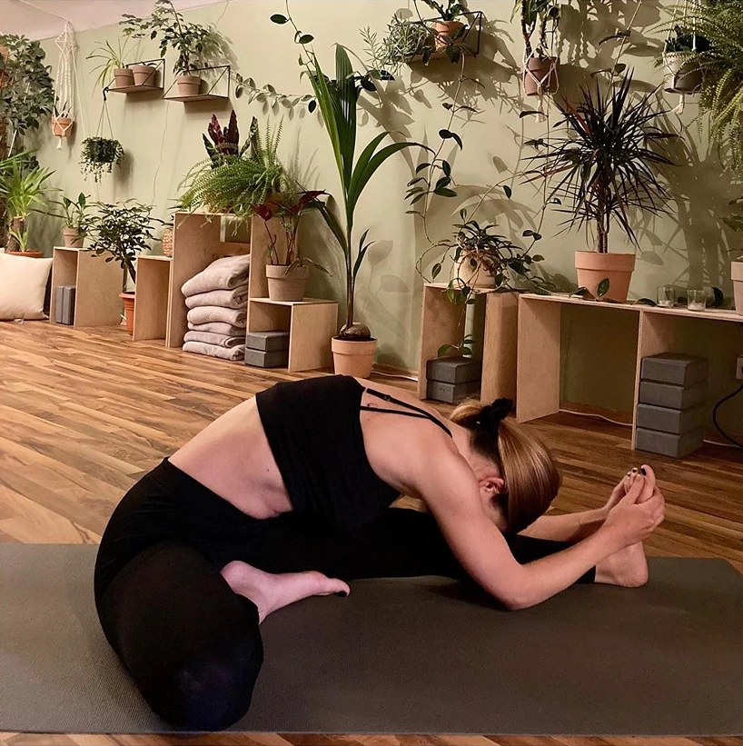 Dschungel Yoga
