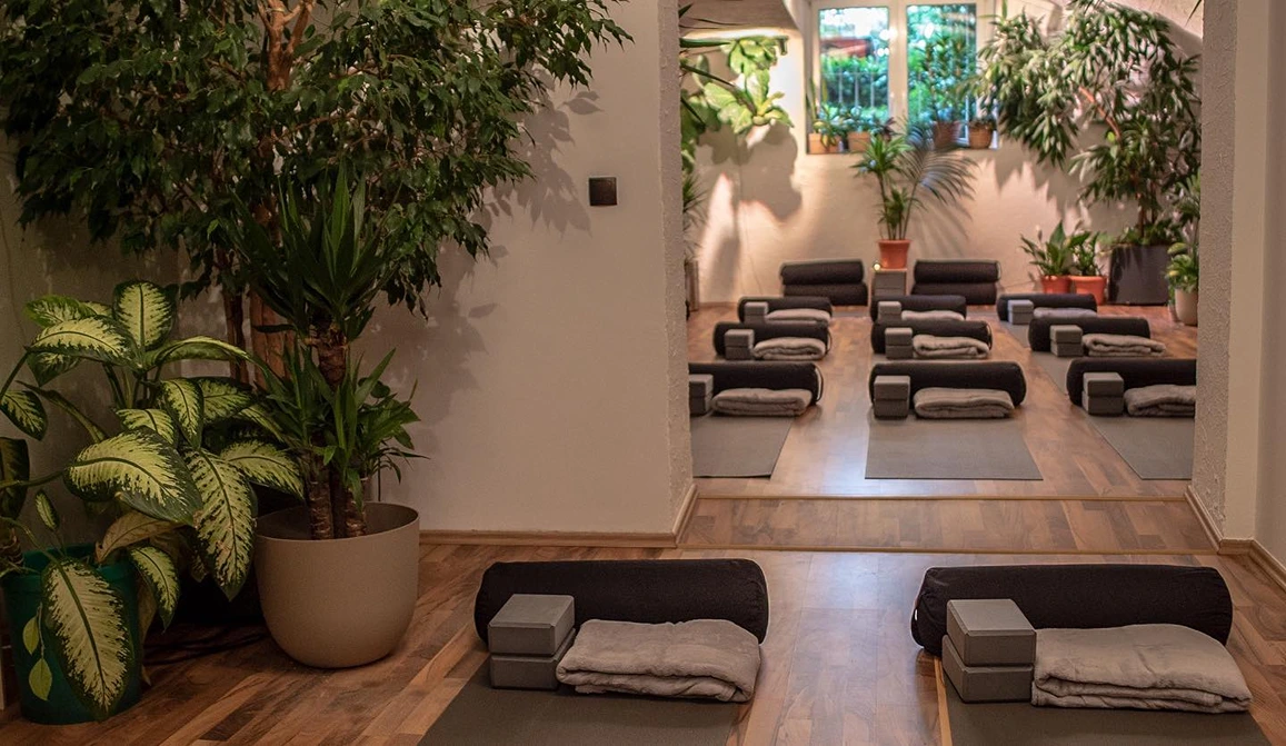 Dschungel Yoga Frankfurt