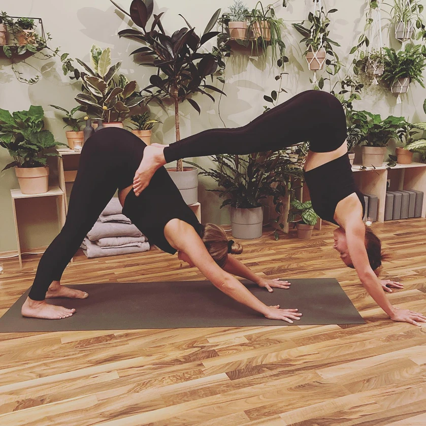 Dschungel Yoga Frankfurt
