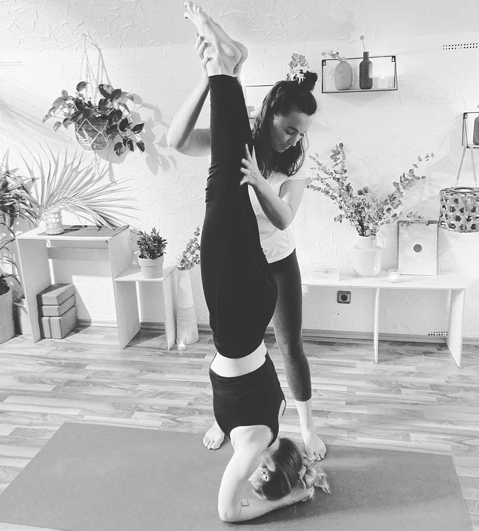 Dschungel Yoga 