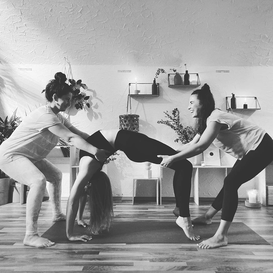 Dschungel Yoga 