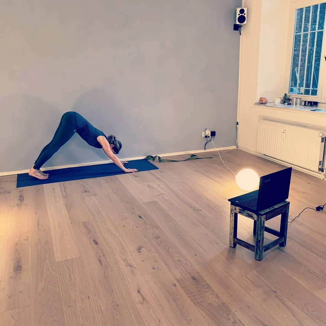 Hund Mit Grund Yogastudio