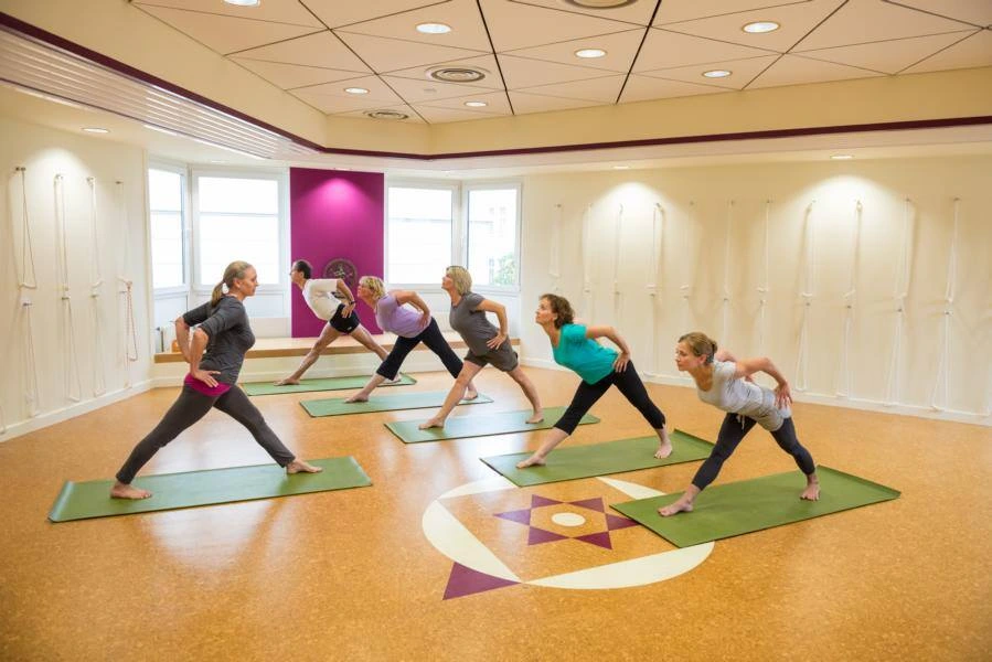 Iyengar Yoga Akademie Rhein Ahr Ggmbh 