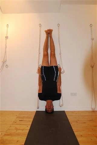 Iyengar Yoga Institut Frankfurt Am Main Germany