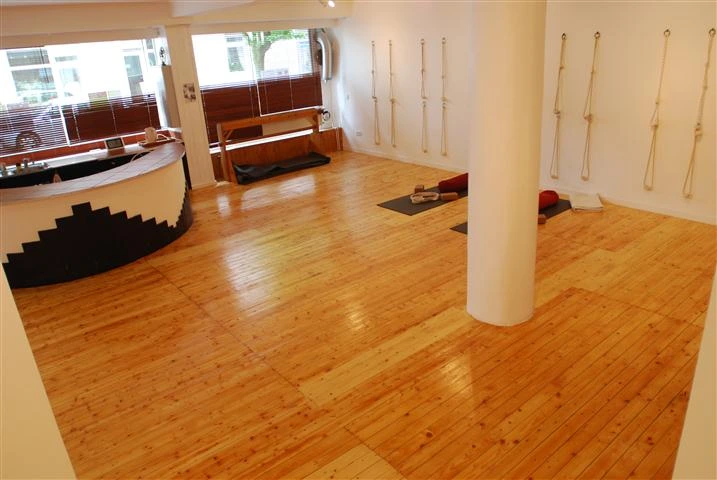 Iyengar Yoga Institut Frankfurt Am Main 