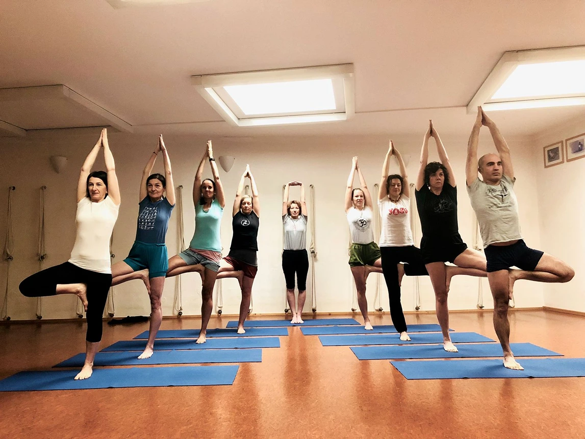 Iyengar Yoga Zentrum Köln-mitte Cologne
