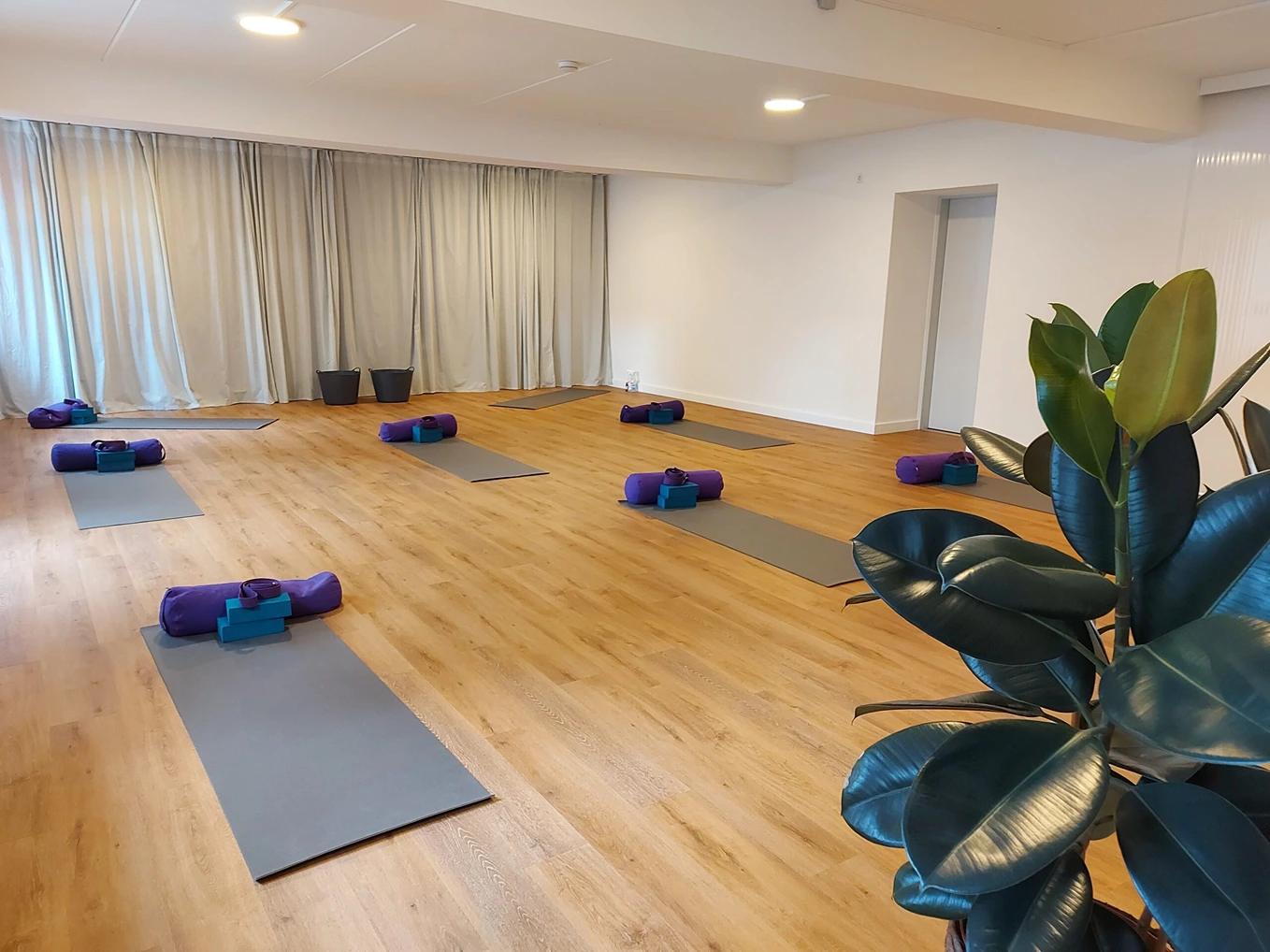Pure - Studio Für Pilates Yoga Und Gesundheit 