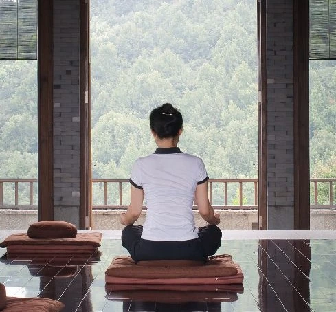 Raja Yoga Institut Brahma-kumaris Deutschland  