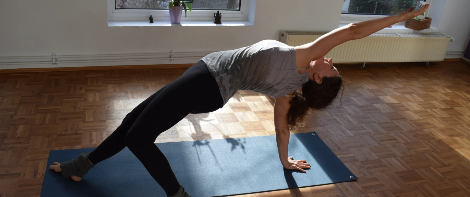 Shiva-yoga 