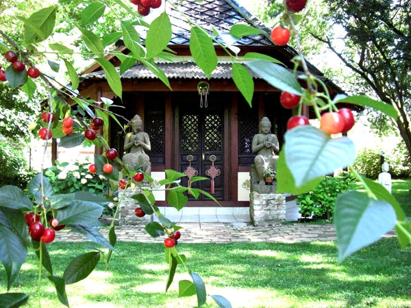 Sumati Kirti Buddhistisches Studienund Meditationszentrum Stuttgart Germany